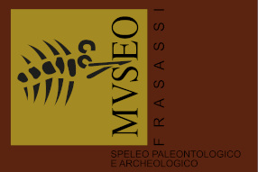 Logo di Museo di San Vittore